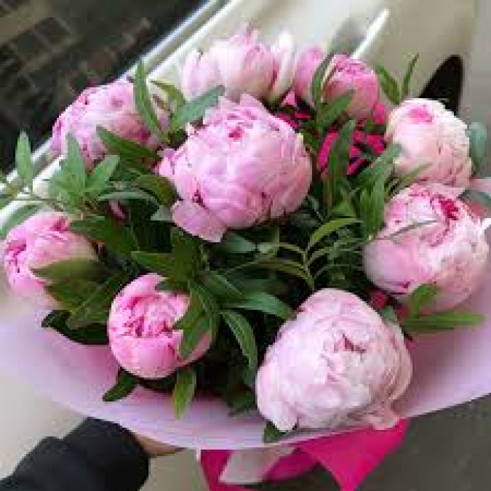 Пион древовидный в Актобе