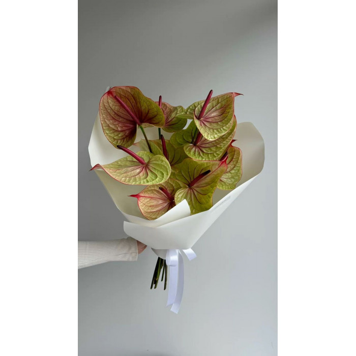 Антуриумы в Актобе