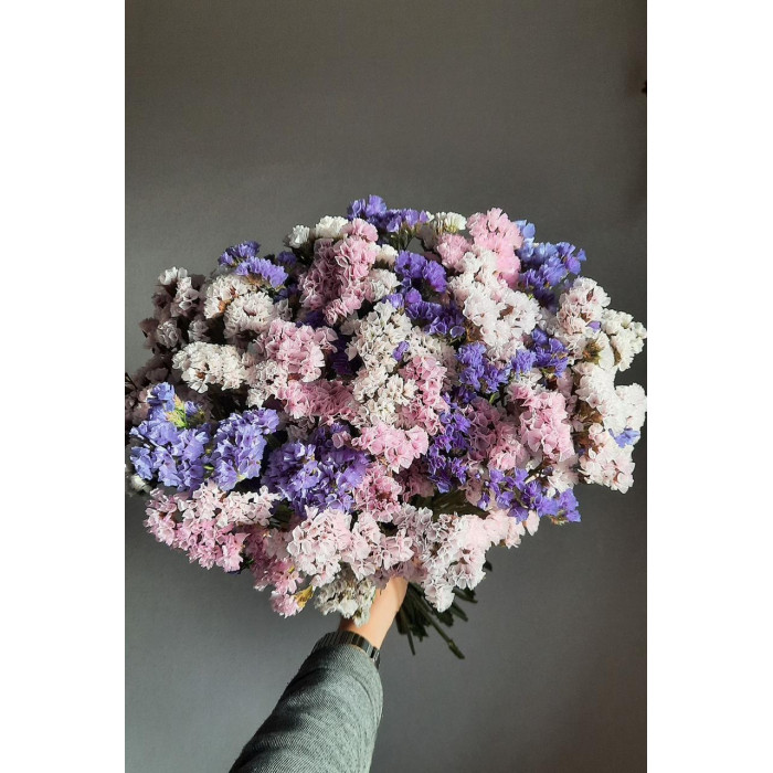 Статица (Лимониум) в Актобе