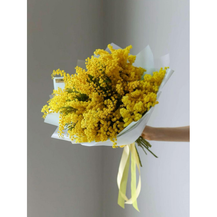 Мимоза в Актобе