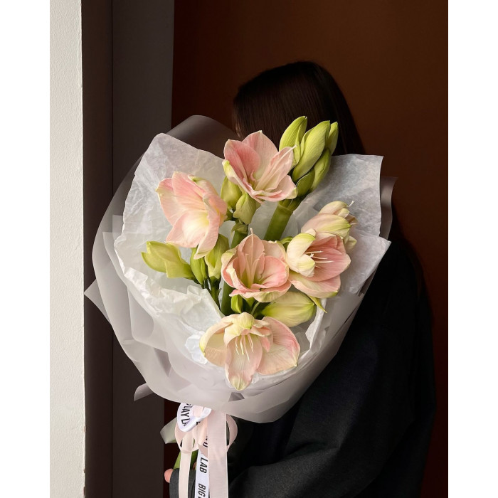 Амариллис в Актобе