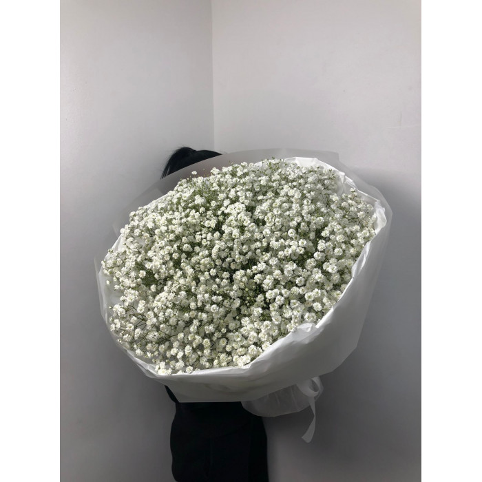 Гипсофила классическая в Актобе