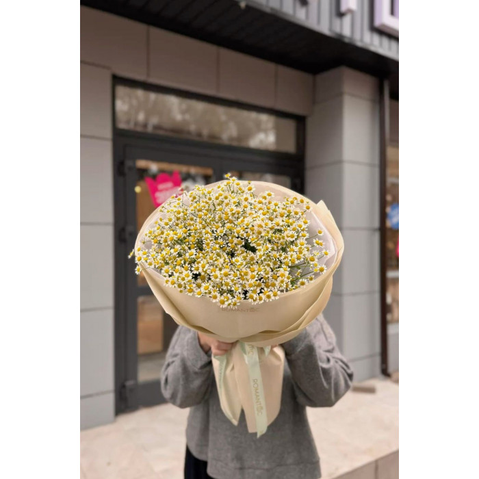 Танацетум в Актобе